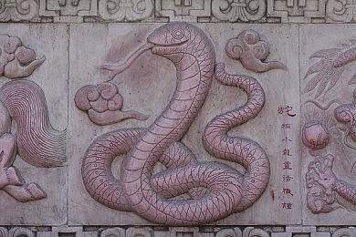 《战锤40K：暗潮》首日补丁推出 将持续优化游戏